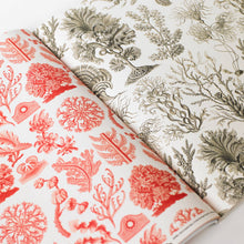 Load image into Gallery viewer, Art Forms In Nature Gift & Creative Paper Book Vol. 83