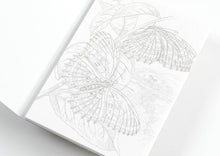 Load image into Gallery viewer, Natural History Watercolour Postcard Book