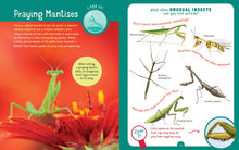 Load image into Gallery viewer, Backpack Explorer: Bug Hunt