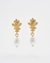Load image into Gallery viewer, Oak Leaf Pearl Drop Gold Earrings