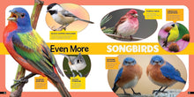 Load image into Gallery viewer, Little Kid's First Nature Guide: Birds