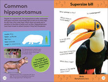 Load image into Gallery viewer, Smithsonian Quiz: Animals of the World