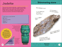 Load image into Gallery viewer, Quiz Yourself Clever! Rocks and Minerals