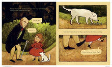 Load image into Gallery viewer, Etty Darwin And The Four Pebble Problem