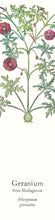 Load image into Gallery viewer, Biblio-Scents Bookmarks