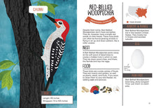Load image into Gallery viewer, Kid's Guide to Backyard Birds