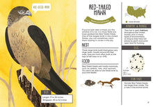 Load image into Gallery viewer, Kid's Guide to Backyard Birds