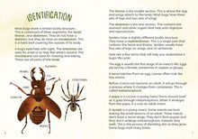 Load image into Gallery viewer, Kid's Guide to Backyard Bugs