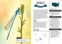 Load image into Gallery viewer, Kid's Guide to Backyard Bugs
