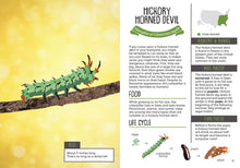 Load image into Gallery viewer, Kid's Guide to Backyard Bugs