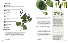 Load image into Gallery viewer, How to be a Color Wizard