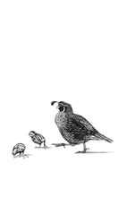 Load image into Gallery viewer, The Birds in the Oaks