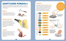 Load image into Gallery viewer, Rock Hunt