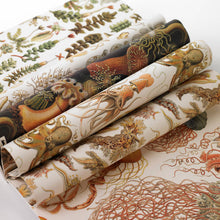 Load image into Gallery viewer, Art Forms In Nature Gift & Creative Paper Book Vol. 83