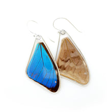 Load image into Gallery viewer, Morpho Aega Butterly Earrings