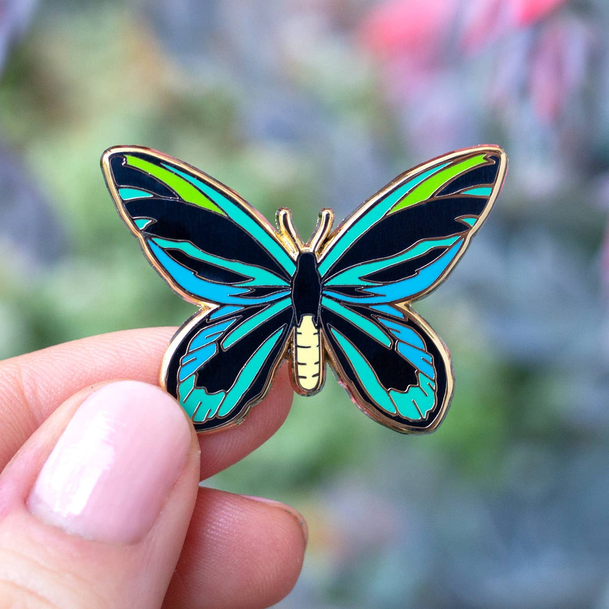 Birdwing Butterfly Enamel Pin – sbnature Store