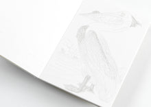 Load image into Gallery viewer, Natural History Watercolour Postcard Book