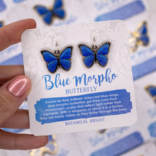 Load image into Gallery viewer, Blue Morpho Butterfly Earrings: Silver