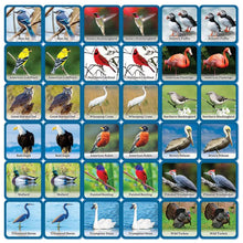 Load image into Gallery viewer, Audubon Bird Matching Game