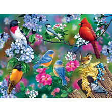Load image into Gallery viewer, Audubon Songbird Collage 300pc Puzzle