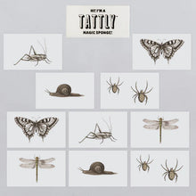 Load image into Gallery viewer, Insects Tattoo Tin