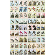 Load image into Gallery viewer, Audubon Memory Game