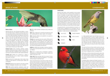 Load image into Gallery viewer, National Audubon Society Birds of North America
