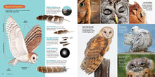 Load image into Gallery viewer, Owling Mysteries