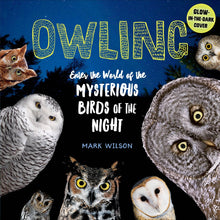 Load image into Gallery viewer, Owling Mysteries