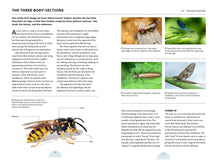 Load image into Gallery viewer, How Insects Work