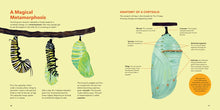Load image into Gallery viewer, Monarch Butterflies : Explore the Life Journey of One of the Winged Wonders of the World