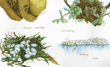 Load image into Gallery viewer, A Nest is Noisy