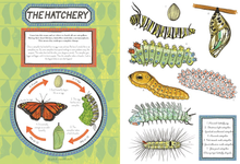 Load image into Gallery viewer, The Butterfly House