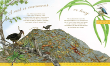 Load image into Gallery viewer, A Nest is Noisy