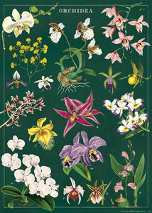 Orchid Wrap
