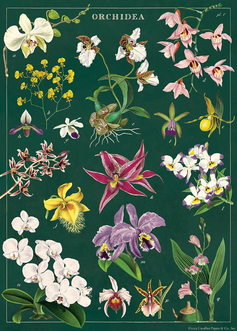 Orchid Wrap