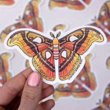 Load image into Gallery viewer, Atlas Moth Waterproof Vinyl Sticker
