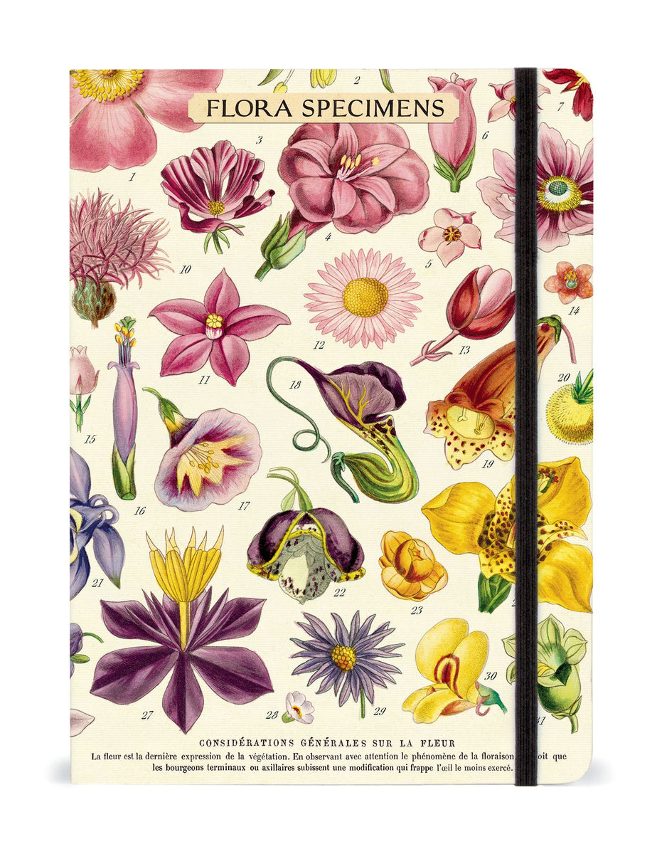 Labcorp Specimen Notebook Flora Specimens Large Notebook – sbnature Store