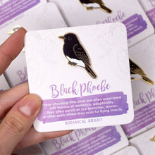 Load image into Gallery viewer, Black Phoebe Bird Enamel Pin
