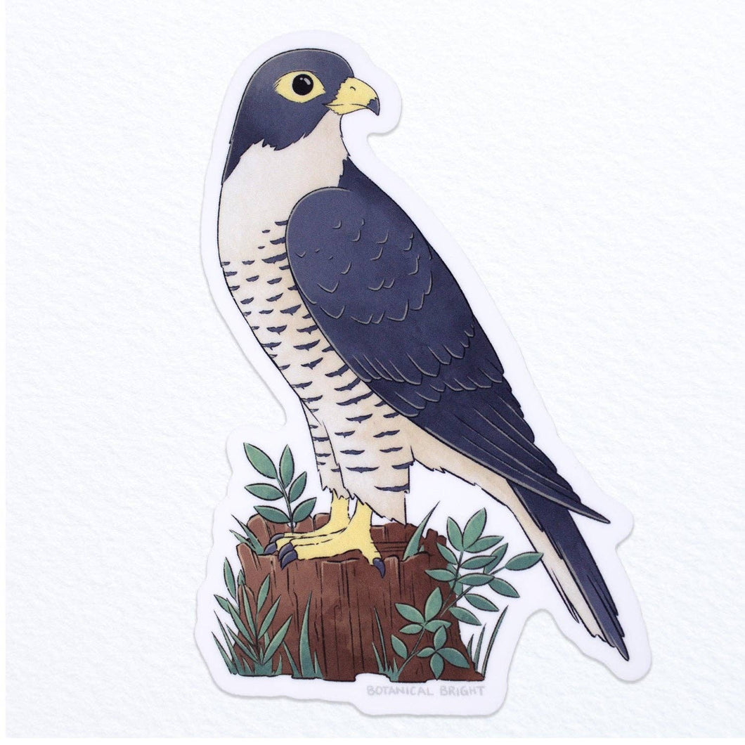 Falcon Bird Waterproof Vinyl Sticker