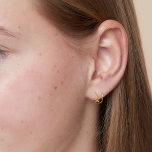 Meteorite Star Wrap 14K Gold Plated Earrings