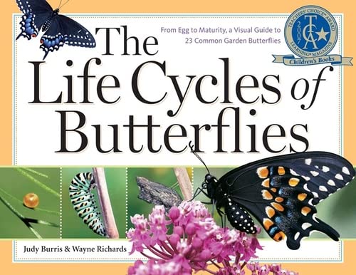 The Life Cycle's of Butterflies