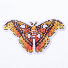 Load image into Gallery viewer, Atlas Moth Waterproof Vinyl Sticker
