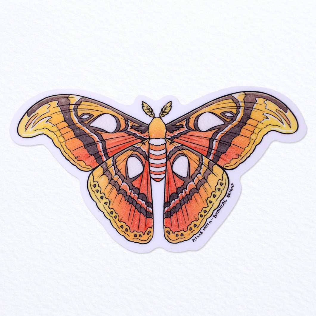 Atlas Moth Waterproof Vinyl Sticker