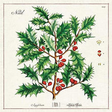 Load image into Gallery viewer, Christmas Holly Vintage Cloth Napkin
