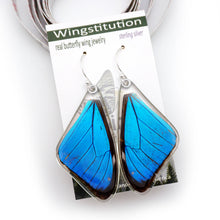 Load image into Gallery viewer, Morpho Aega Butterly Earrings
