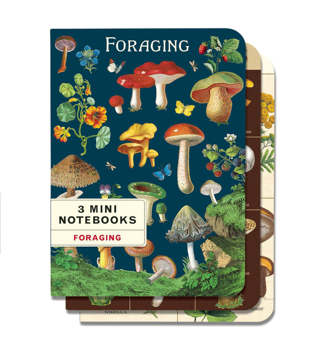 Foraging 3 Mini Notebooks