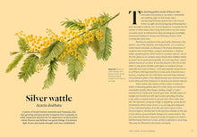 Load image into Gallery viewer, Parched: 50 Plants that Survive and Thrive in a Dry Garden
