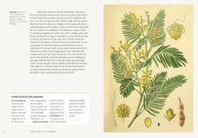 Load image into Gallery viewer, Parched: 50 Plants that Survive and Thrive in a Dry Garden
