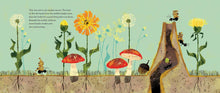 Load image into Gallery viewer, Animal Architects: Amazing Animals
